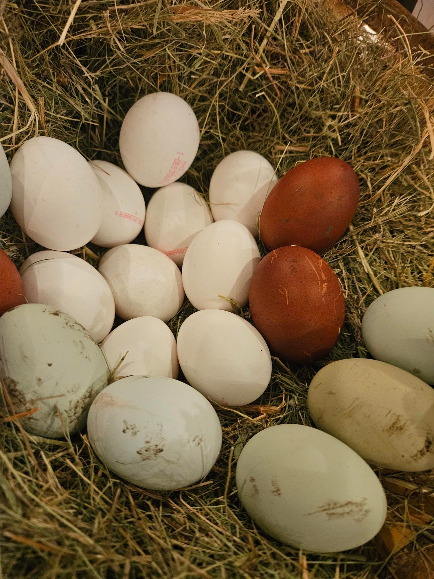 1000113616 (c) St. Marien 1000113616 (c) St. Marien